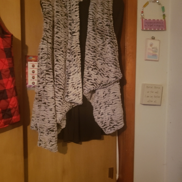 Vest - Picture 1 of 2